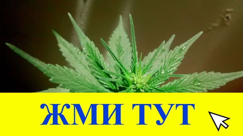 Купить наркотики в Тавде